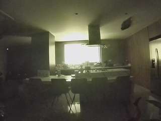 voyeurcam casa salsa fishtank