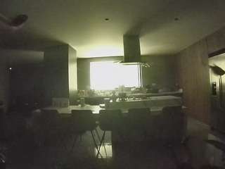 voyeurcam-casa-salsa-fishtank