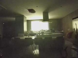 voyeurcam-casa-salsa-fishtank