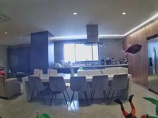 voyeurcam-casa-salsa-fishtank