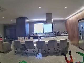 voyeurcam-casa-salsa-fishtank