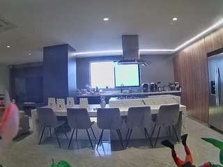 voyeurcam-casa-salsa-fishtank