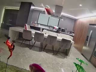 voyeurcam-casa-salsa-fishtank webcam model