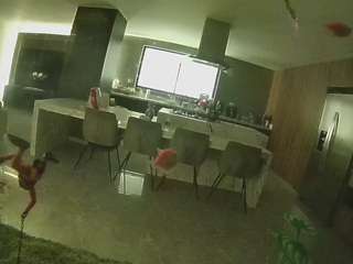 voyeurcam-casa-salsa-fishtank