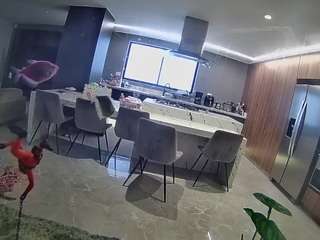 voyeurcam-casa-s... Live Webcam on CamSoda