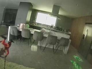 voyeurcam casa salsa fishtank