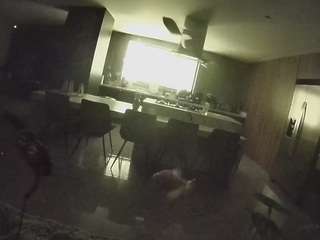 voyeurcam-casa-salsa-fishtank