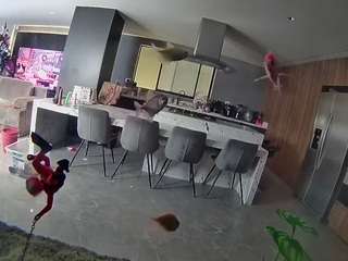 voyeurcam-casa-salsa-fishtank