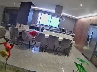 voyeurcam-casa-salsa-fishtank