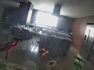 voyeurcam-casa-salsa-fishtank