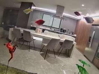 voyeurcam-casa-salsa-fishtank camsoda