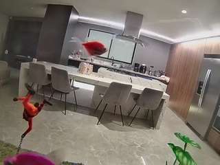 voyeurcam-casa-s... Live Webcam on CamSoda