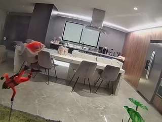 voyeurcam casa salsa fishtank