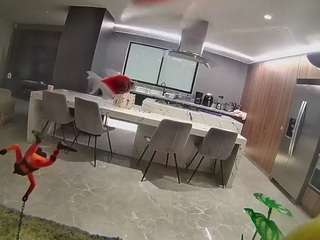 voyeurcam-casa-s... Live Webcam on CamSoda