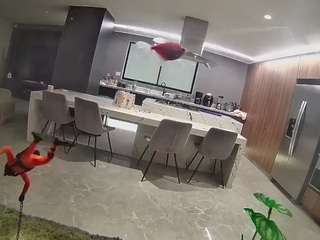 voyeurcam-casa-salsa-fishtank camsoda