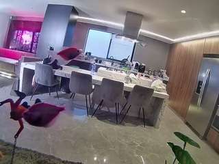 voyeurcam-casa-salsa-fishtank Live Webcam on CamSoda