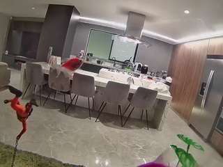 voyeurcam-casa-salsa-fishtank