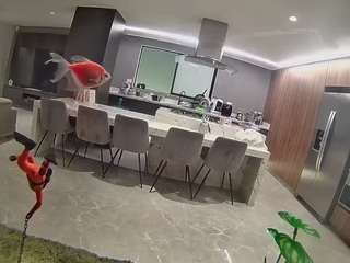 voyeurcam-casa-salsa-fishtank