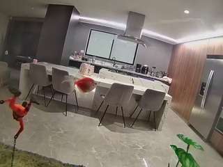 voyeurcam-casa-salsa-fishtank Live Webcam on CamSoda