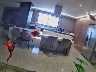 voyeurcam-casa-salsa-fishtank