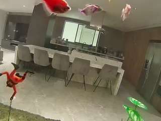 voyeurcam-casa-salsa-fishtank webcam model
