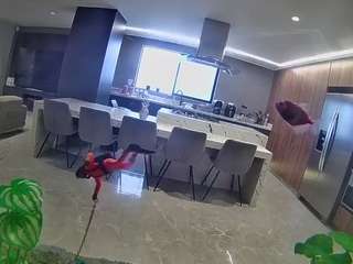 voyeurcam-casa-s... Live Webcam on CamSoda