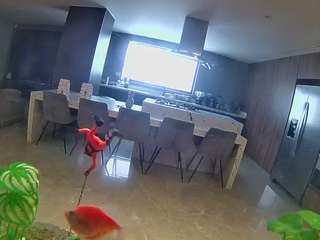 voyeurcam-casa-salsa-fishtank Live Webcam on CamSoda