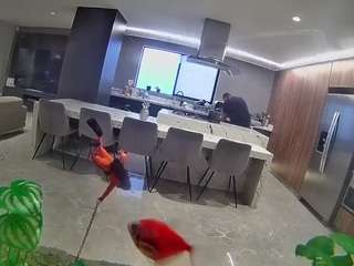 voyeurcam-casa-s... Live Webcam on CamSoda