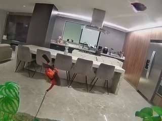 Live Sex Chat with voyeurcam casa salsa fishtank (@voyeurcam-casa-salsa-fishtank)