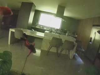 voyeurcam-casa-salsa-fishtank's profile image