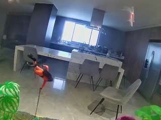 Live Sex Chat with voyeurcam casa salsa fishtank (@voyeurcam-casa-salsa-fishtank)