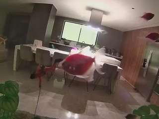 voyeurcam-casa-salsa-fishtank