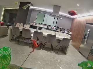 voyeurcam-casa-s... Live Webcam on CamSoda