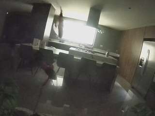 voyeurcam-casa-salsa-fishtank