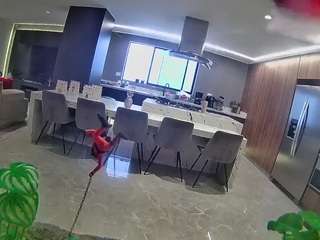 voyeurcam-casa-salsa-fishtank