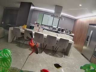 voyeurcam-casa-salsa-fishtank webcam model