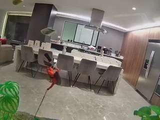 voyeurcam-casa-salsa-fishtank