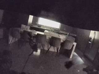 voyeurcam-casa-salsa-fishtank