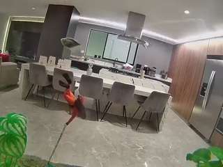 voyeurcam-casa-salsa-fishtank