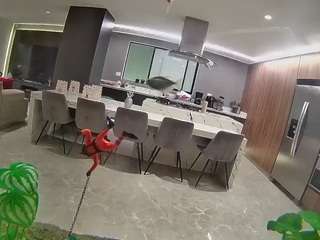 voyeurcam-casa-salsa-fishtank