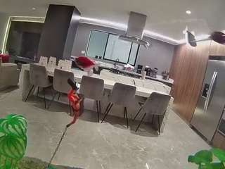 voyeurcam-casa-salsa-fishtank