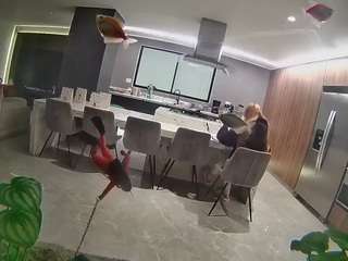 voyeurcam-casa-salsa-fishtank