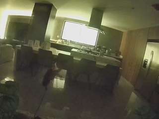 voyeurcam-casa-salsa-fishtank