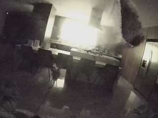 voyeurcam-casa-salsa-fishtank