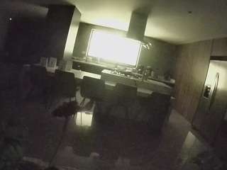 voyeurcam-casa-salsa-fishtank
