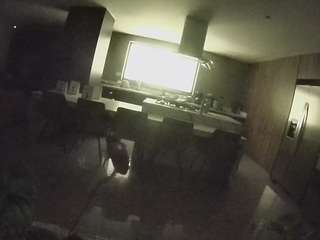 voyeurcam-casa-salsa-fishtank