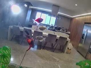 voyeurcam-casa-salsa-fishtank