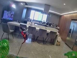 voyeurcam-casa-salsa-fishtank