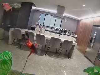 voyeurcam-casa-salsa-fishtank