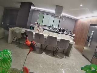 voyeurcam-casa-salsa-fishtank